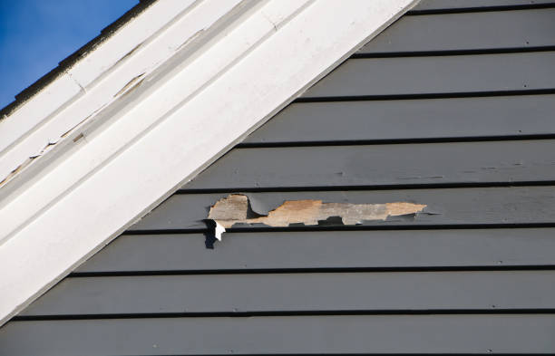 Best Custom Trim and Detailing for Siding  in Big River, CA